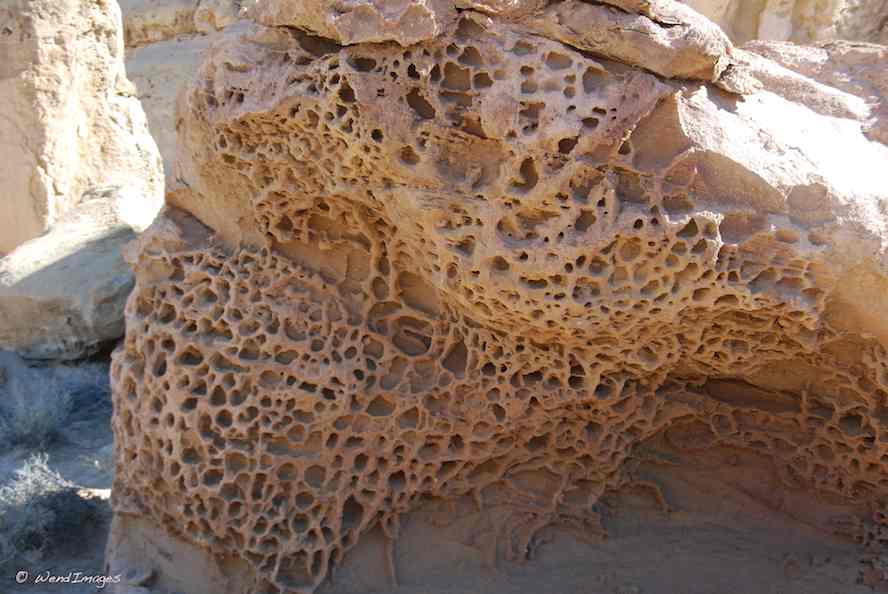 Rock Lace at Chaco Canyon